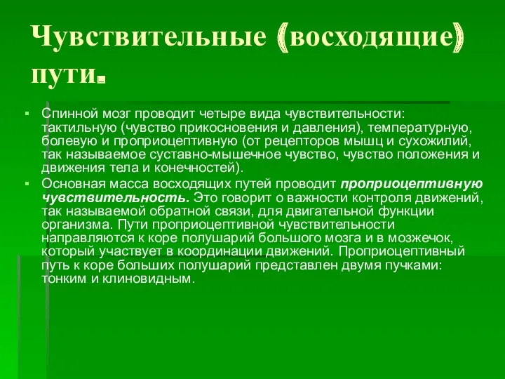 Чувствительные (восходящие) пути. Спинной мозг проводит четыре вида чувствительности: тактильную