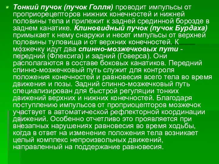 Тонкий пучок (пучок Голля) проводит импульсы от проприорецепторов нижних конечностей