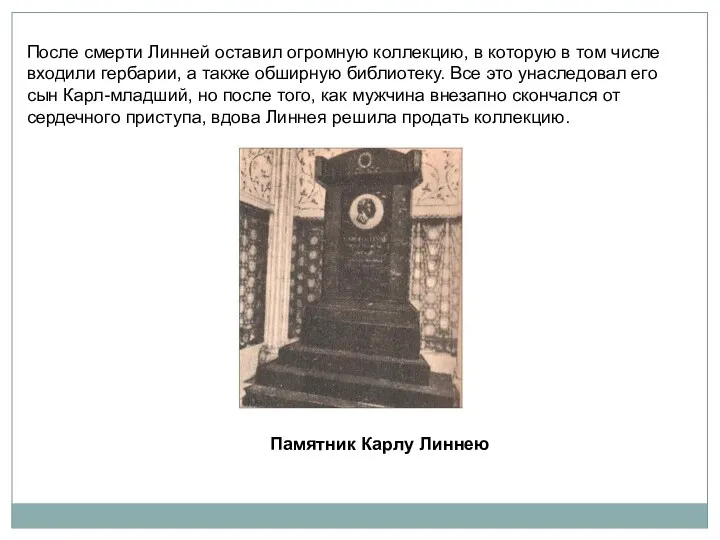 После смерти Линней оставил огромную коллекцию, в которую в том