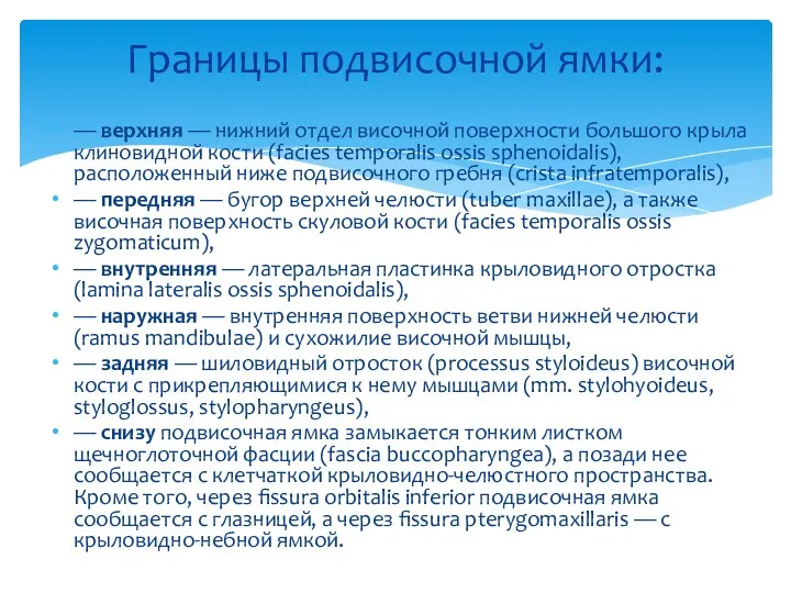 Границы подвисочной ямки: — верхняя — нижний отдел височной поверхности