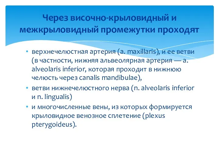 Через височно-крыловидный и межкрыловидный промежутки проходят верхнечелюстная артерия (a. maxillaris),