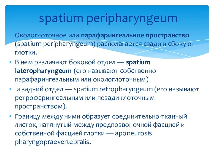 spatium peripharyngeum Окологлоточное или парафарингеальное пространство (spatium peripharyngeum) располагается сзади