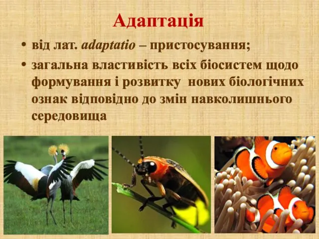 Адаптація від лат. аdaptatio – пристосування; загальна властивість всіх біосистем