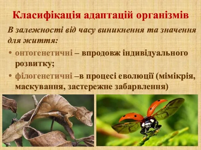 Класифікація адаптацій організмів В залежності від часу виникнення та значення