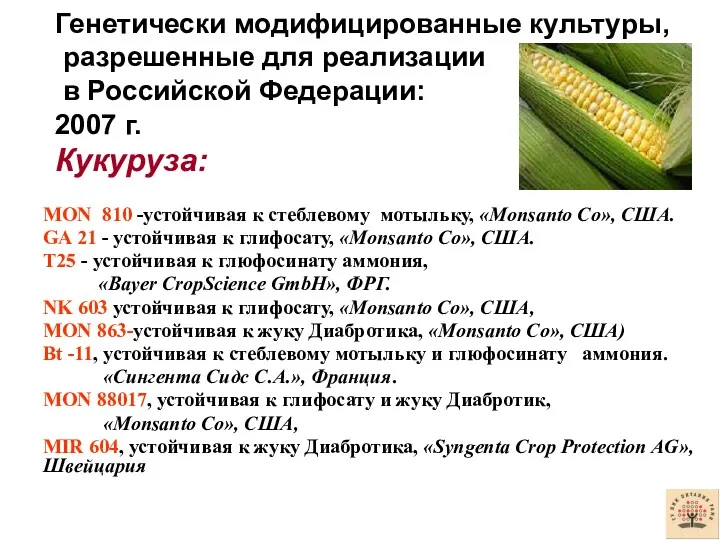 Генетически модифицированные культуры, разрешенные для реализации в Российской Федерации: 2007