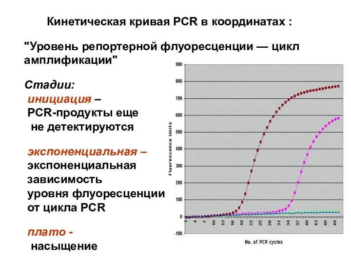 Кинетическая кривая PCR в координатах : "Уровень репортерной флуоресценции —