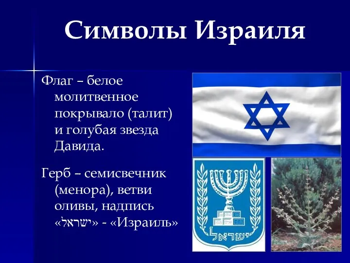Символы Израиля Флаг – белое молитвенное покрывало (талит) и голубая