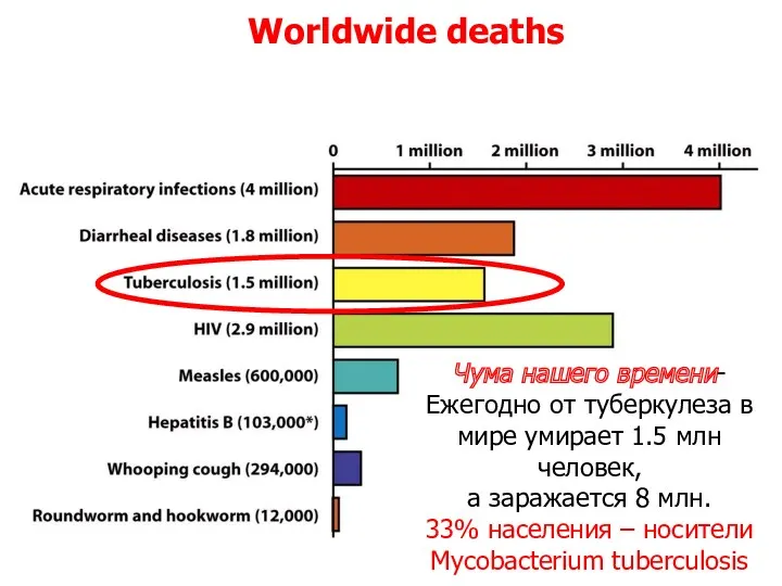 Worldwide deaths Чума нашего времени- Ежегодно от туберкулеза в мире