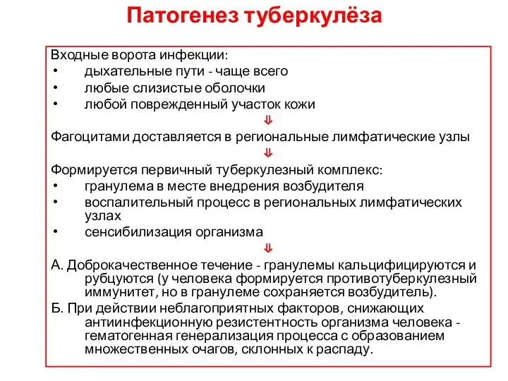 Патогенез туберкулёза Входные ворота инфекции: дыхательные пути - чаще всего