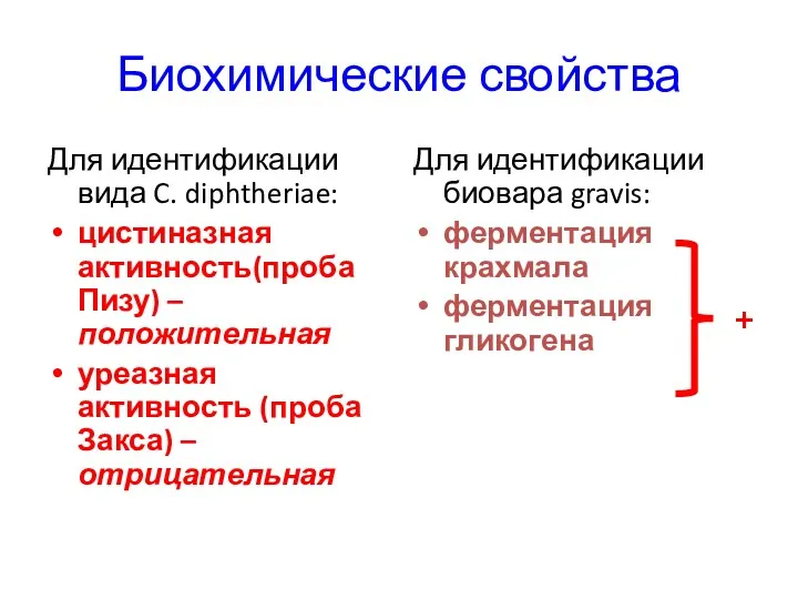 Биохимические свойства Для идентификации вида C. diphtheriae: цистиназная активность(проба Пизу)