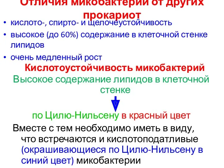 Отличия микобактерий от других прокариот кислото-, спирто- и щелочеустойчивость высокое