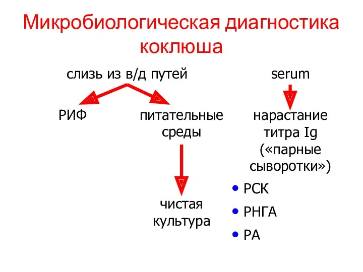 Микробиологическая диагностика коклюша