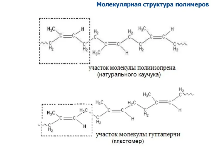 Молекулярная структура полимеров