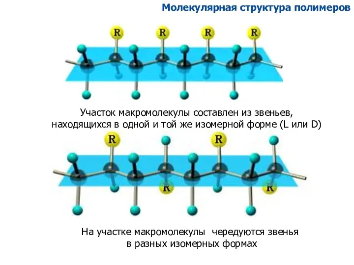 Молекулярная структура полимеров Участок макромолекулы составлен из звеньев, находящихся в