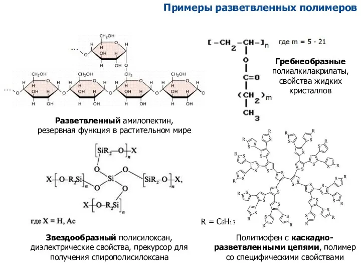 Примеры разветвленных полимеров Разветвленный амилопектин, резервная функция в растительном мире