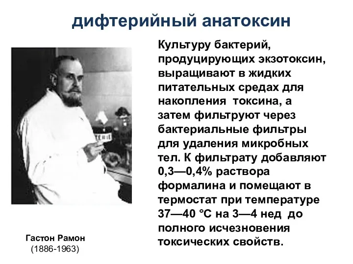 Гастон Рамон (1886-1963) Культуру бактерий, продуцирующих экзотоксин, выращивают в жидких