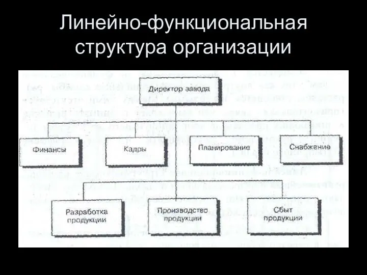 Линейно-функциональная структура организации