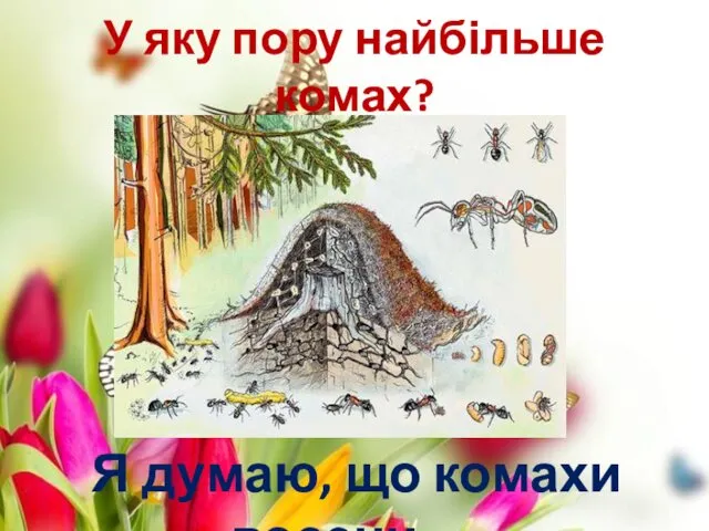 У яку пору найбільше комах? Я думаю, що комахи восени …