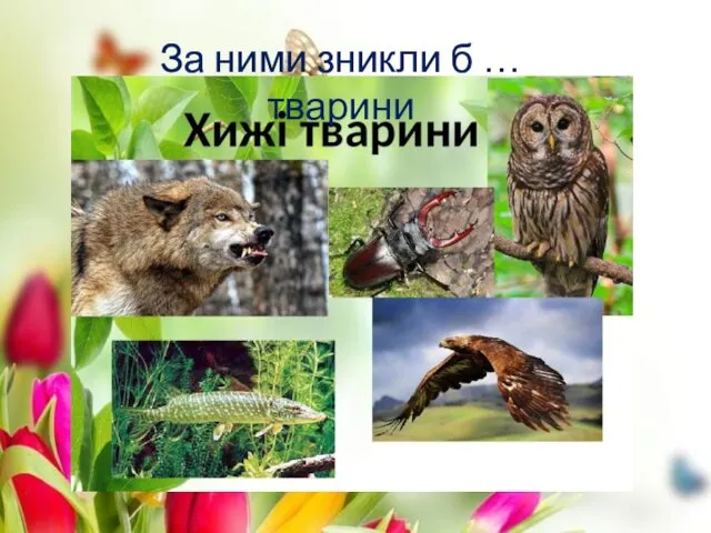 За ними зникли б … тварини