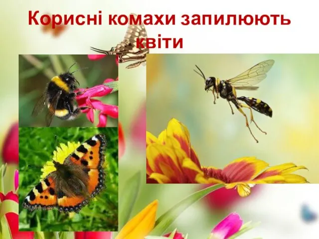 Корисні комахи запилюють квіти