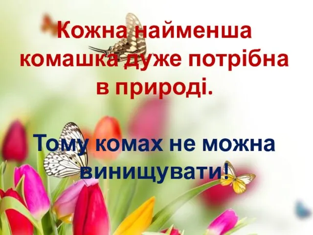 Кожна найменша комашка дуже потрібна в природі. Тому комах не можна винищувати!