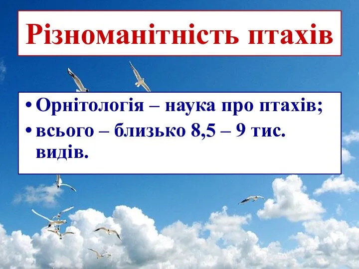 Різноманітність птахів Орнітологія – наука про птахів; всього – близько 8,5 – 9 тис. видів.