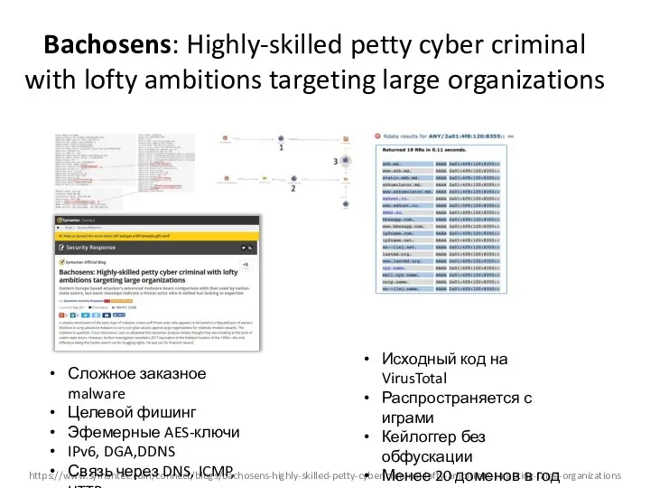 Bachosens: Highly-skilled petty cyber criminal with lofty ambitions targeting large