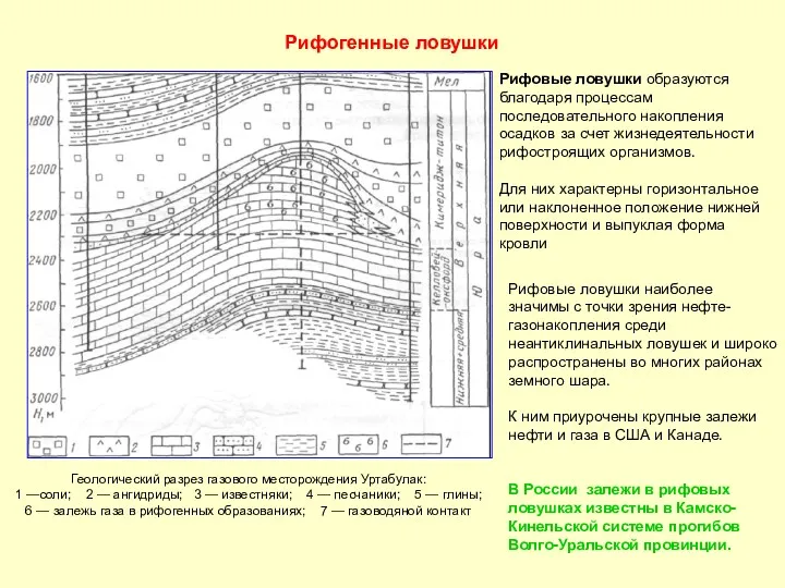 Рифогенные ловушки Геологический разрез газового месторождения Уртабулак: 1 —соли; 2