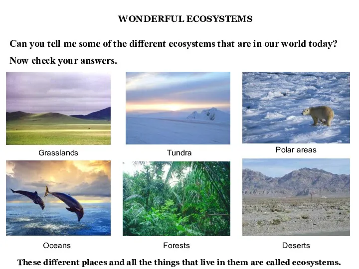 WONDERFUL ECOSYSTEMS These different places and all the things that