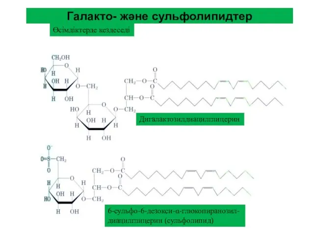 Галакто- және сульфолипидтер Өсімдіктерде кездеседі Дигалактозилдиацилглицерин 6-сульфо-6-дезокси-α-глюкопиранозил- диацилглицерин (сульфолипид)