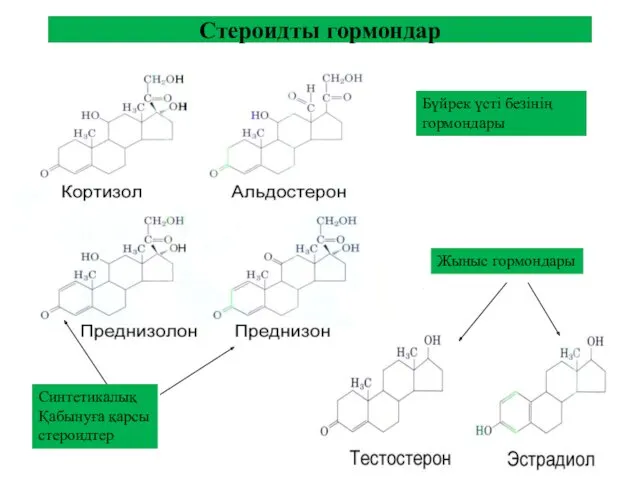 Стероидты гормондар Жыныс гормондары Синтетикалық Қабынуға қарсы стероидтер Бүйрек үсті безінің гормондары