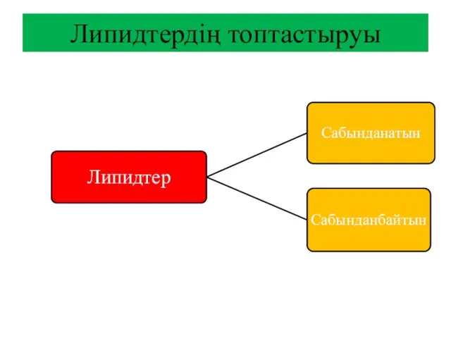 Липидтердiң топтастыруы