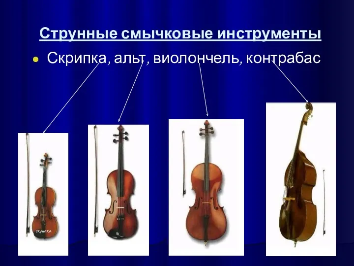 Струнные смычковые инструменты Скрипка, альт, виолончель, контрабас скрипка