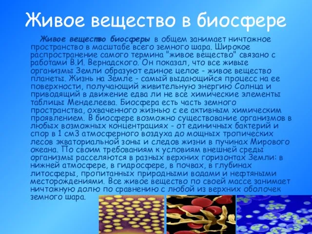 Живое вещество в биосфере Живое вещество биосферы в общем занимает