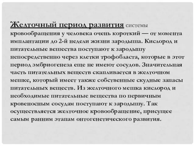 Желточный период развития системы кровообращения у человека очень короткий —