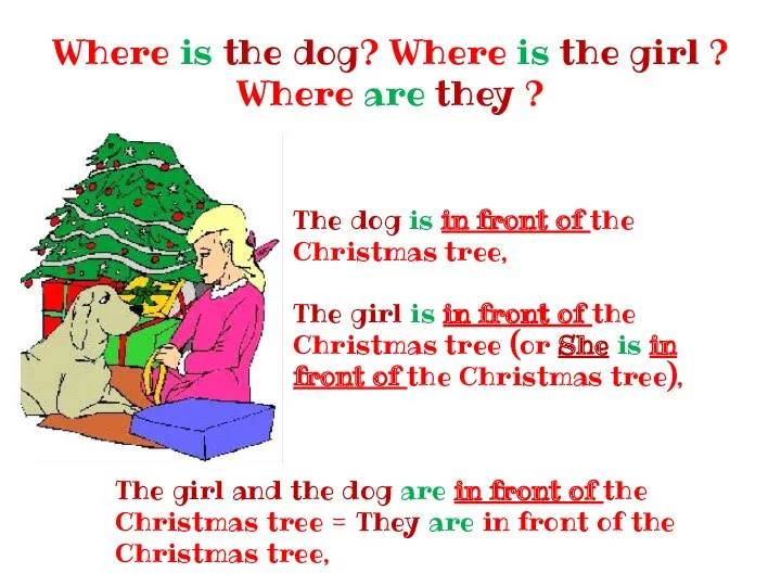 Where is the dog? Where is the girl ? Where are they ?