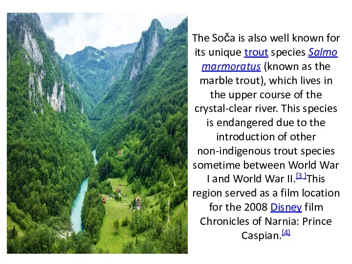 The Soča is also well known for its unique trout