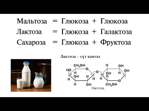 Лактоза – сүт қанты