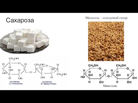 Сахароза Мальтоза – солодовый сахар