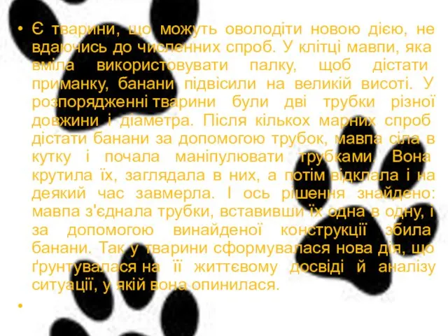 Є тварини, що можуть оволодіти новою дією, не вдаючись до