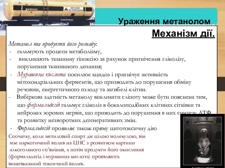 Механізм дії. Метанол та продукти його розпаду: гальмують процеси метаболізму,