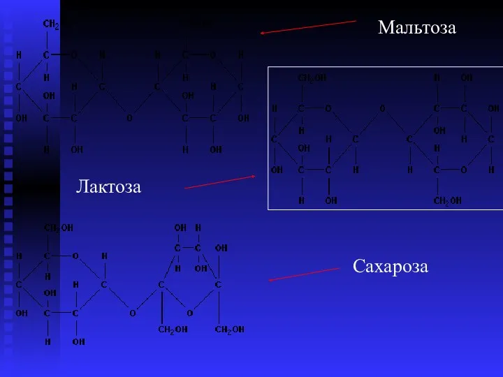 Мальтоза Лактоза Сахароза