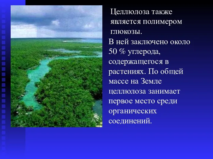 Целлюлоза также является полимером глюкозы. В ней заключено около 50