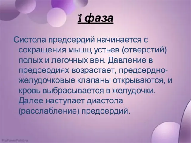 1 фаза Систола предсердий начинается с сокращения мышц устьев (отверстий)