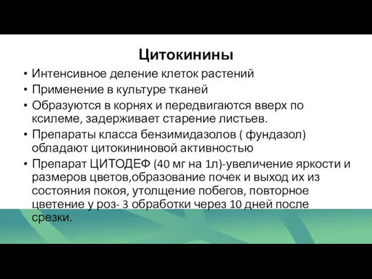 Цитокинины Интенсивное деление клеток растений Применение в культуре тканей Образуются