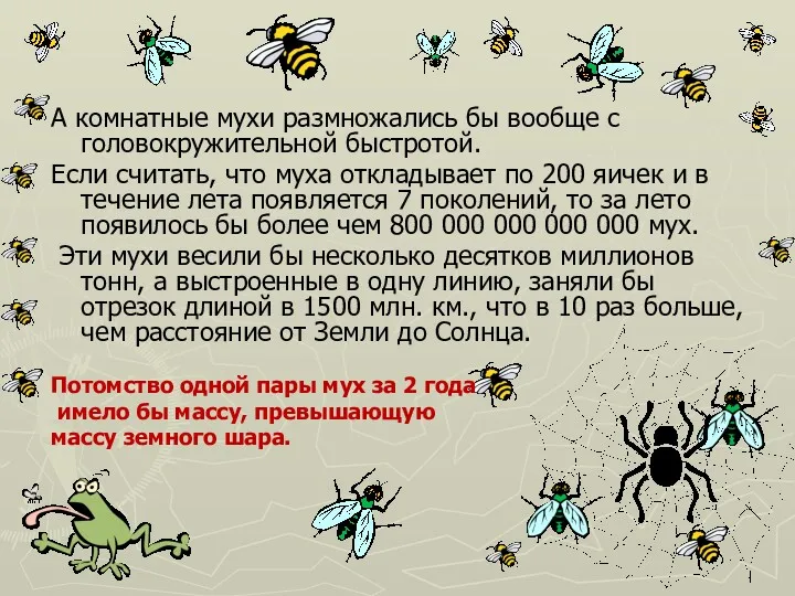 А комнатные мухи размножались бы вообще с головокружительной быстротой. Если считать, что муха