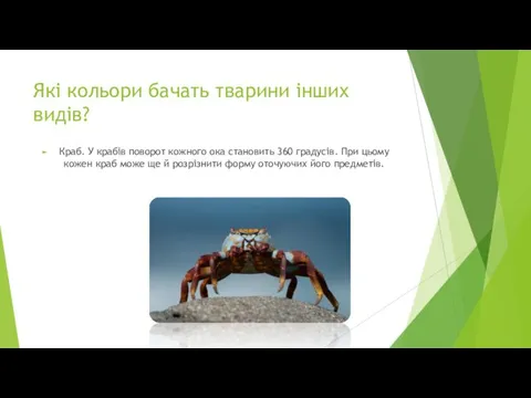 Які кольори бачать тварини інших видів? Краб. У крабів поворот