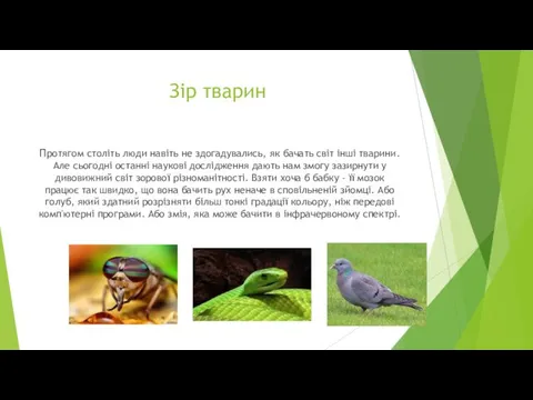 Протягом століть люди навіть не здогадувались, як бачать світ інші