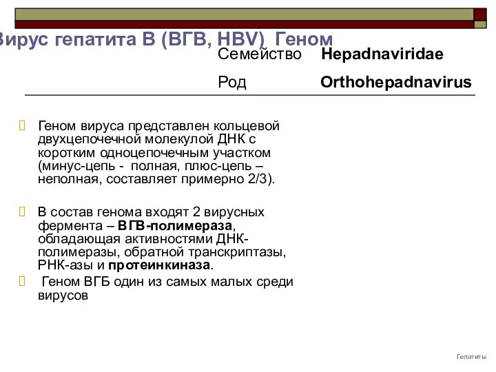 Гепатиты Вирус гепатита B (ВГB, HBV) Геном Семейство Hepadnaviridae Род