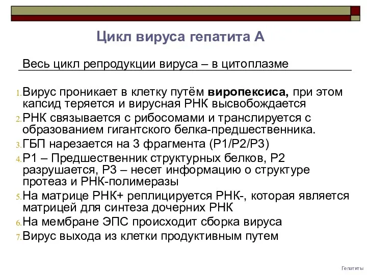 Гепатиты Весь цикл репродукции вируса – в цитоплазме Вирус проникает